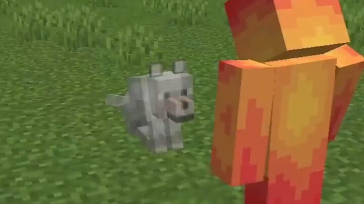 永别了，布鲁斯