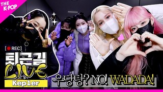 [퇴근길 LIVE 4K] 누구보다 빠르게 WADADA💨 케플러의 퇴근길!