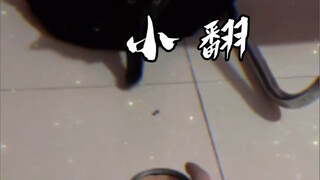 ยังไม่เคยกินกระป๋องเลย เกือบพลิกแล้ว