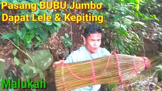 Dapat Banyak - Pasang Bubu / Lukah Ikan