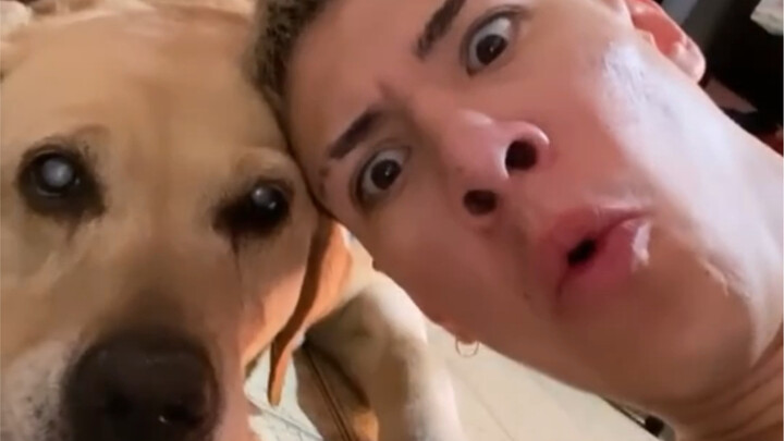 Anh chàng B-Box ngày nào cũng dắt chó đi tập cùng, chú chó phối hợp vô cùng ăn ý, cuối cùng họ đã lu