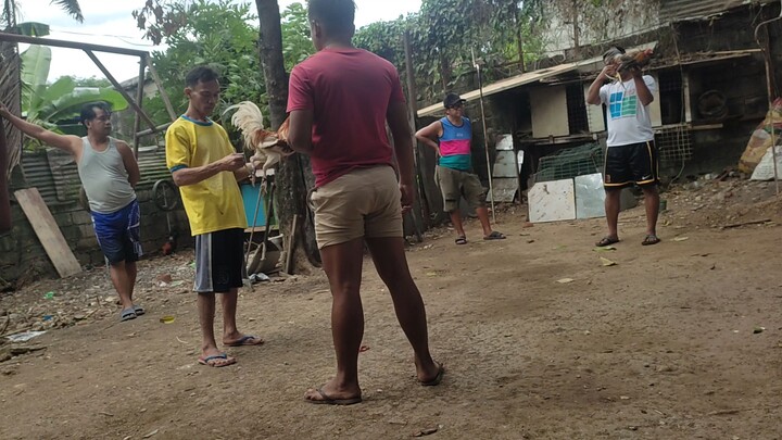 OLATS MGA BOSS. NAUNAHAN NG PILAY. BANGKAS VS BULIK