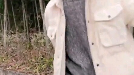 此沙ℓ沙门
