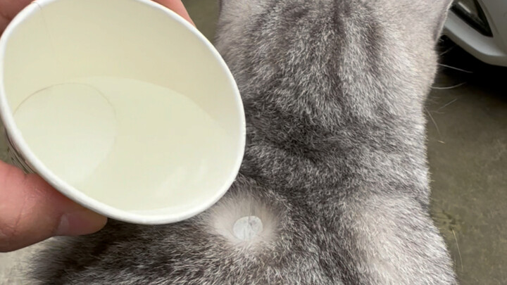 The smallest artificial lake in the world!