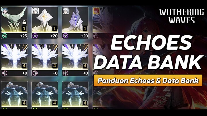 PANDUAN ECHOES & DATA BANK! Drop Rate dan Formasi Pemasangan Echoes | Wuthering Waves Indonesia