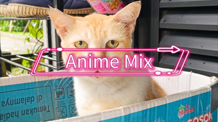sword master,anime,mix