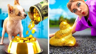 Chú Cún Được Tỷ Phú Nhận Nuôi