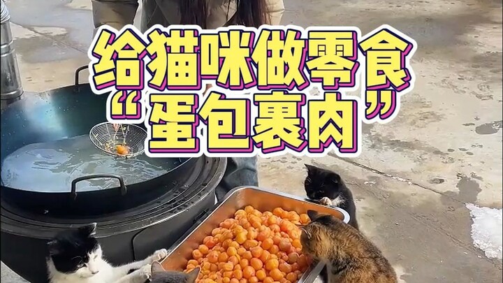 Làm món trứng cuộn này cho mèo ăn, vừa lành mạnh lại tiện lợi
