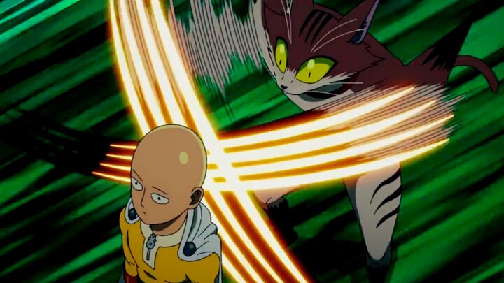 Kepala botaknya itu malah dicakar kucing wkwk