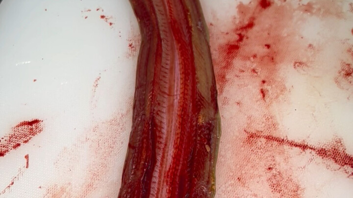 Although gory, it’s not repulsive.