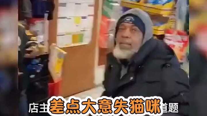 เจ้าของร้าน: แมวคือขีดจำกัดสุดท้ายของฉัน!