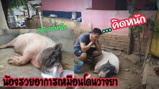 น้องรวยอาการเหมือนโดนวางยาอาการหนักมาก😥😢