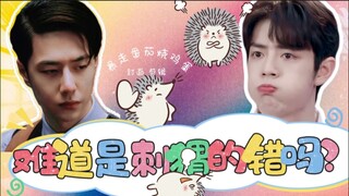 【博肖】《难道是刺猬的错吗？》第十一集
