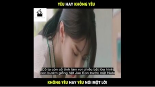 Review Phim Dẫu Biết - Phần 4 #ReviewPhimTinhCam