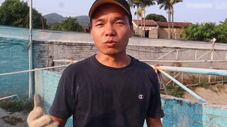 Loài ăn xác thối không có kẻ thù tự nhiên sao? Những chú cá sấu ở trại cá sấu đang đòi tham gia cuộc