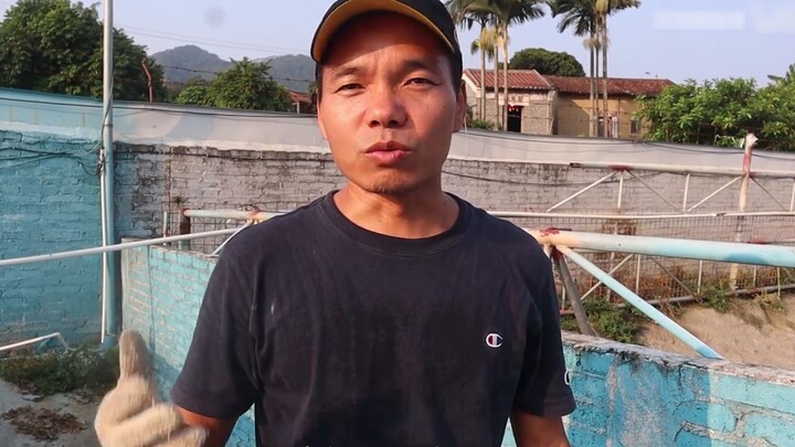 Do scavengers have no natural enemies? The crocodiles at the crocodile farm are asking to join the f