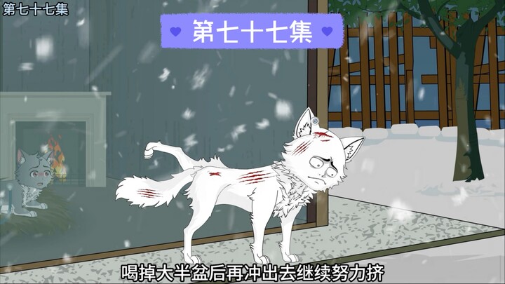 高冷狼王狼设崩塌之夜