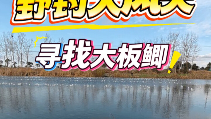 Musim dingin mancing liar mencari ikan mas koin besar