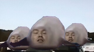 跳跃的海豹前辈