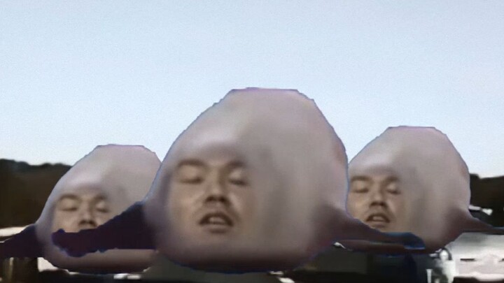 Senior anjing laut yang melompat