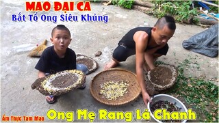 Mao Đại Ca Trổ Tài Bắt Tổ Ong Siêu Khủng Bằng Chai Nhựa - Thử Ăn Món Ong Mẹ Rang Lá Chanh Cực Ngon