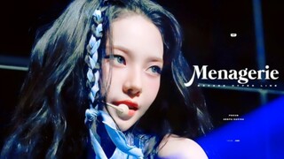 【ليو تشي مين | شيطانة الأفعى التي تسحر الناس】رقصة منفردة 4K تصوير مباشر قريب من المشجعة في الحفلة ال