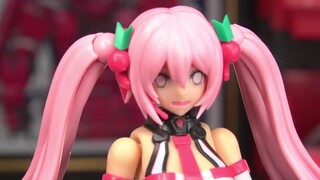 ระเบิดลูกที่สองสีชมพู! แบ่งปันชุดประกอบ Sensky Sakura Hatsune Pink Sonic Boom แล้วเล่นกับมัน! 【ช่างไ