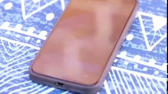 นกน้อยในกรงทอง1.3