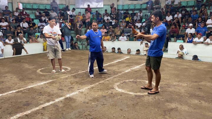 Apr 25 2hits antipolo White win