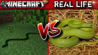 Minecraft Snake 🐍 in Real Life !!! Minecraft Vs Real Life Animation