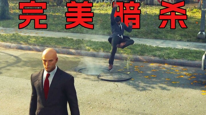 The Self-Cultivation of a Top Assassin....