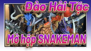 Đảo Hải Tặc | Đánh giá Mở hộp u0026-Tượng nhựa Kaido-BP Studio_3