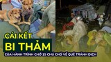 Cái kết BI THẢM của hành trình chở 15 chú chó về quê tránh dịch