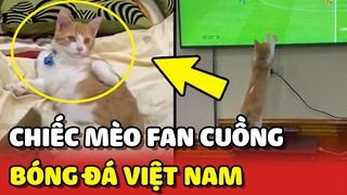 Fan cuồng BÓNG ĐÁ Việt Nam gọi tên chú mèo "Phan Văn Mía" 🤩 | Yêu Lu