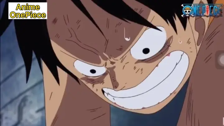 Luffy Sabo Gặp Gỡ Sau Bao Năm Xa Cach Bilibili
