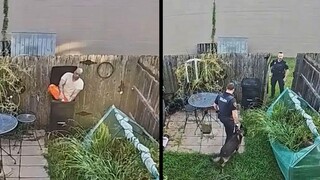 A prisoner escaped from jail and hid in a trash can, with police chasing him with a police dog!