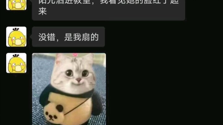 “Lãng mạn đến cùng cực”