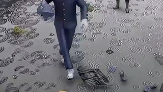茂夫羞辱赛罗真的太坏了
