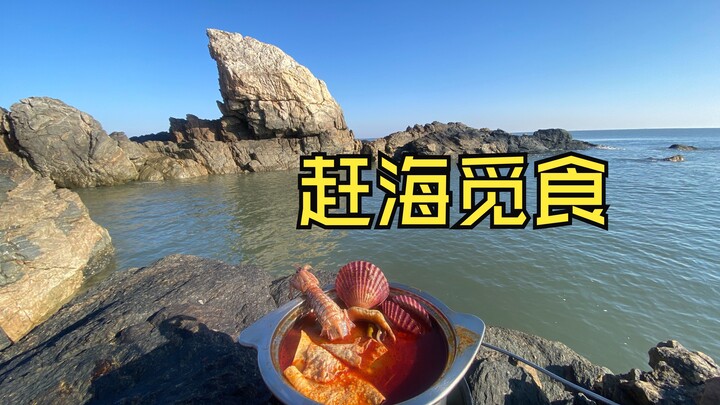The tide has gone out—time to forage by the sea!