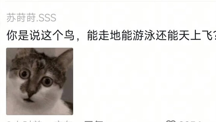 โอ้โห…เพิ่งเคยเห็นนกสามสถานะทั้งบนบก บนน้ำ และบนอากาศ ที่แท้สองท่าก่อนหน้านี้เป็นแค่การวอร์มอัปเองนี