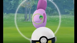 Pokémon GO-Shiny Alomomola