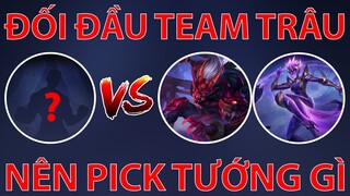 Team Địch Đồng Loạt Pick 2 Vị Tướng Amily Omen Cực Trâu Và Đây Là Vị Tướng NVB TV Sử Dụng Để Đối Đầu