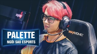 NGÔI SAO ESPORTS | PALETTE