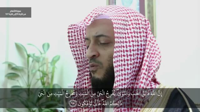 honey rrifiei اهني الرفاعي