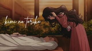 Kimini Toriko | AMV
