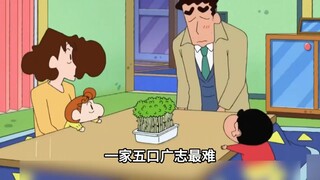 广志想去参加个单人露营散散心，媳妇都不给钱，他只能在院里搭个帐篷