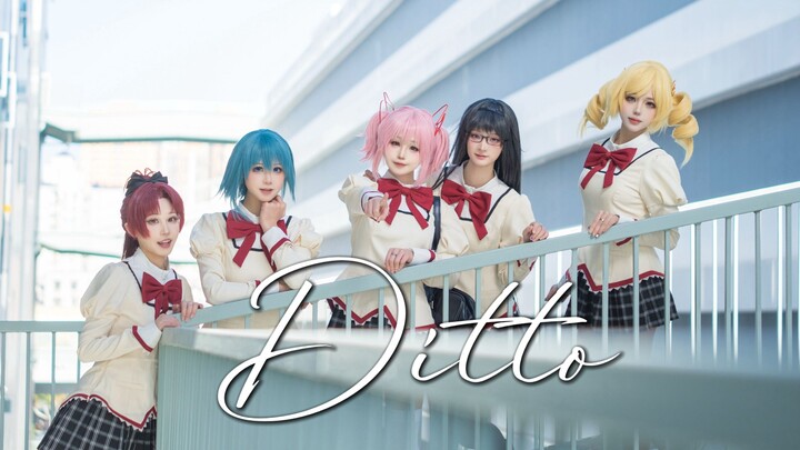 [Puella Magi Madoka Magica x Ditto] ⌈Story-Driven⌋ — Is It a Passionate Slice of Youth or a Gorgeous