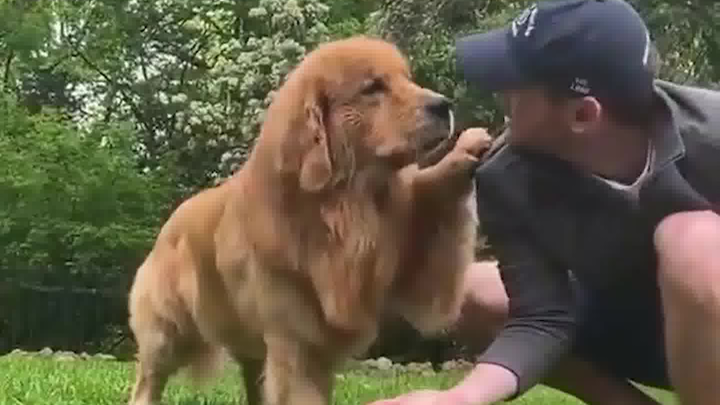 ไม่เป็นไร ไม่รังเกียจคุณหรอก