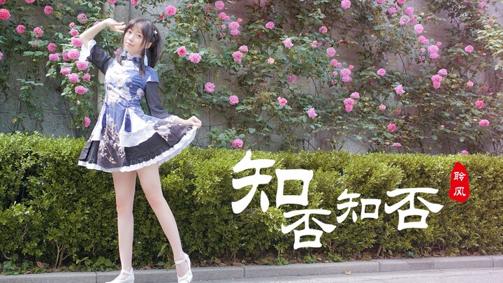 【宅C-聆风】知否知否-错过花期的我是否能得到你的青睐【feat.紫苏】