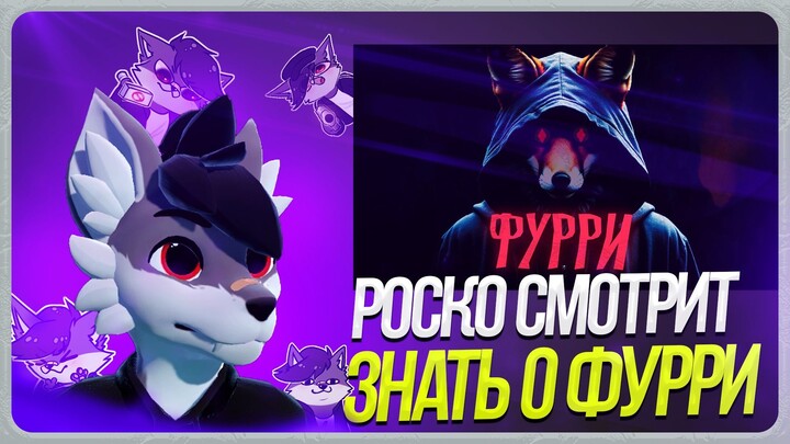 🐺 Роско смотрит Zeurk channel - Всё, что вы хотели и не хотели знать о фурри
